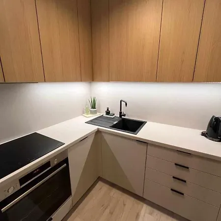 M&m1 Near Center With Free Parking - Ac 公寓 *